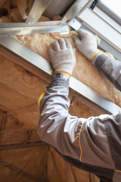 Best Energy Efficiency Insulation in Forest Hills, MI