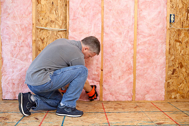 Best Specialized Insulation Services in Forest Hills, MI