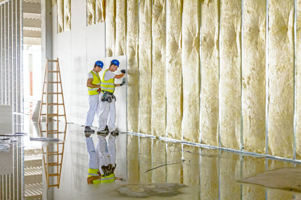 Trusted Forest Hills, MI Insulation Contractor Experts